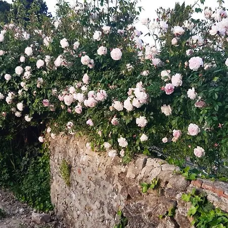 Panzió La Medeenne