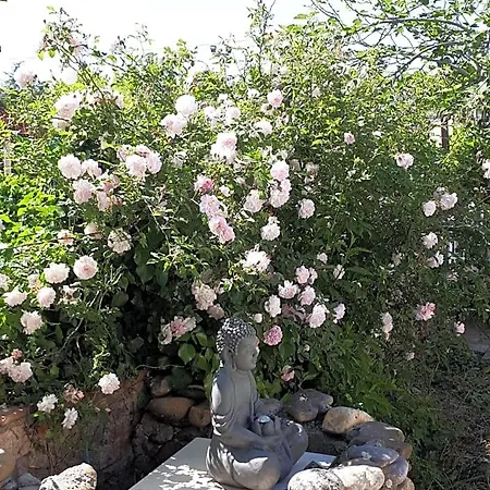 La Medeenne Alairac
