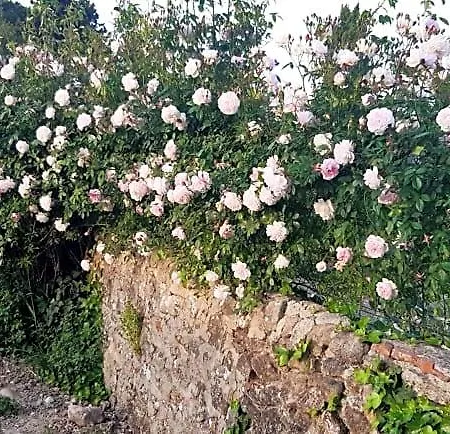 La Medeenne 3* Alairac